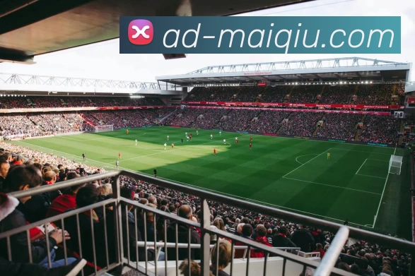 足球压球开户服务体系